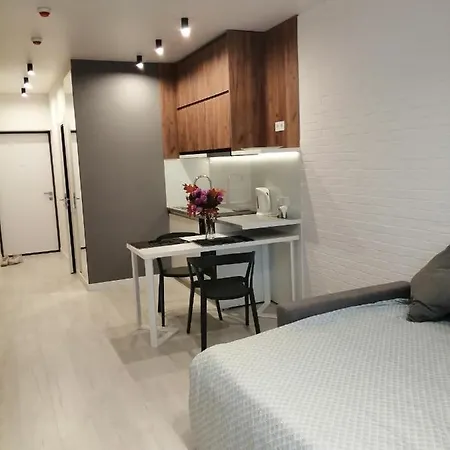 стильная, компактная квартира. Apartment *
